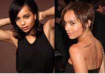 Zoe Kravitz Plastic Surgery Before And After Pictures